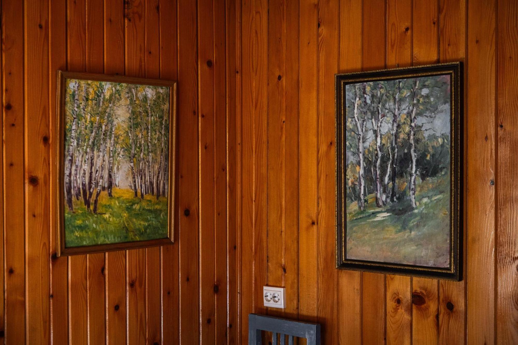 Silva Cabin - In The Heart Of Bran, Next To The Castle W/ Free Parking Bran  Exterior photo