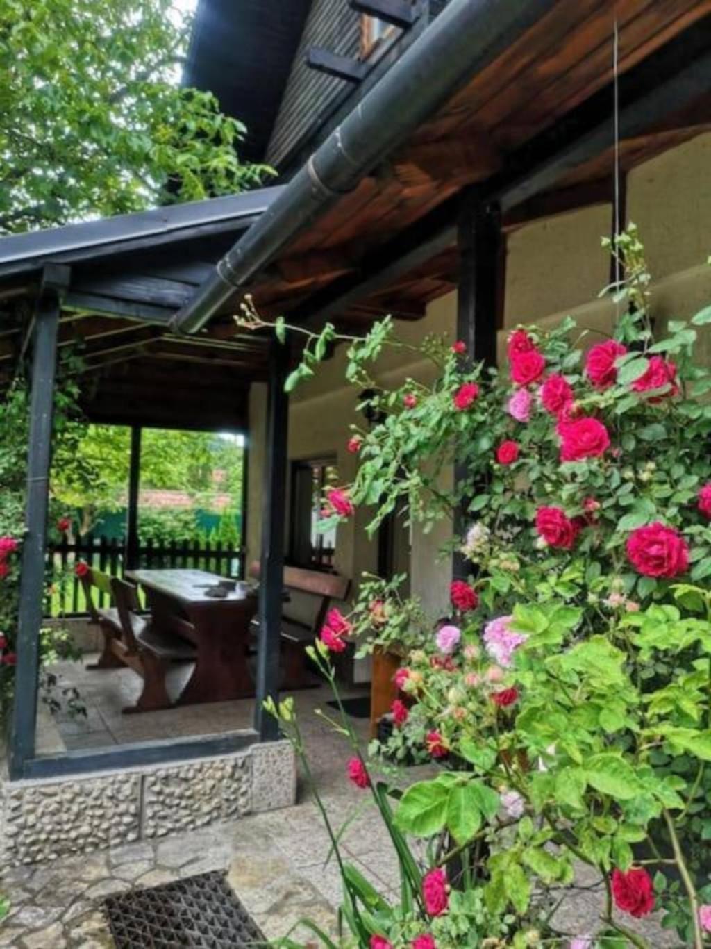 Silva Cabin - In The Heart Of Bran, Next To The Castle W/ Free Parking Bran  Exterior photo
